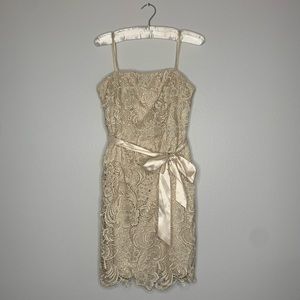 Adrianna Papell Evening Dress